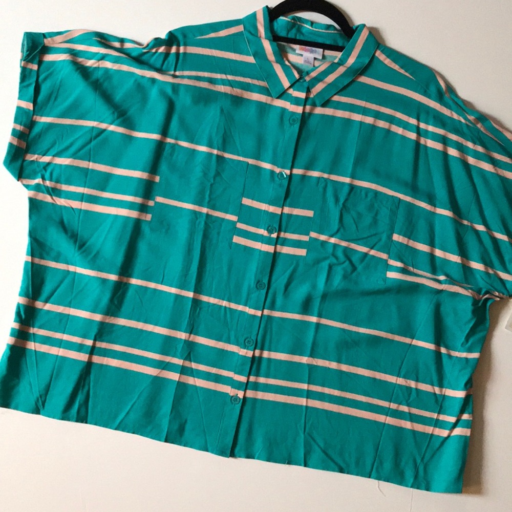 BNWT LuLaRoe Amy size L